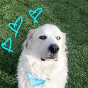 Meet your Posher, Jillian